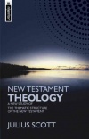 New Testament Theology - Mentor Series